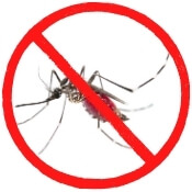 No_Mosquito_BPCS No Mosquito Guarantee biligiri pest control services